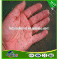 GREEN ANTI BIRD POND NET NETTING PROTECTION PLANTS VEG FRUIT GARDEN FINE MESH